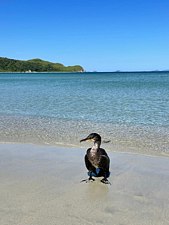 Морской заповедник