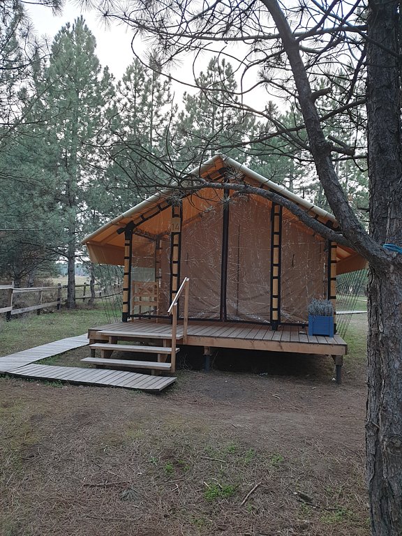 Фото из отзыва от 29.03.2025