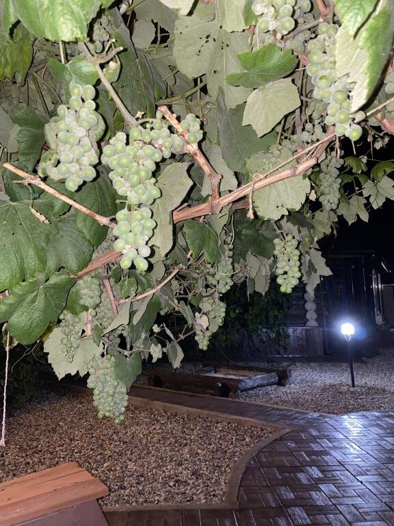 Шале Юрта, Тверская область: фото 5