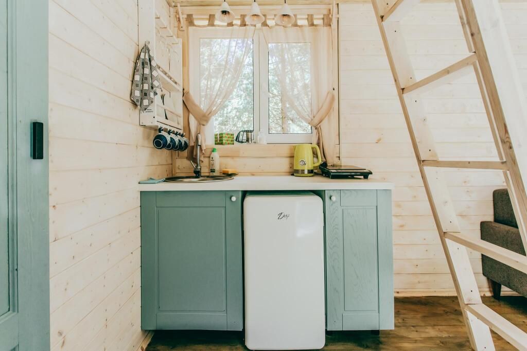 ЕлиСосны, Тверская область: фото 4