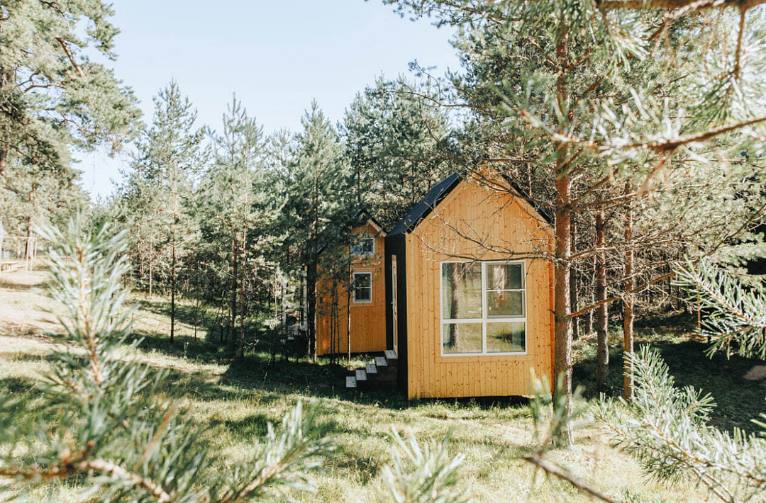 Глэмпинг ЕлиСосны, Федоровское, Тверская область