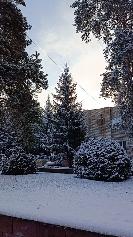 Фото из отзыва от 05.04.2025