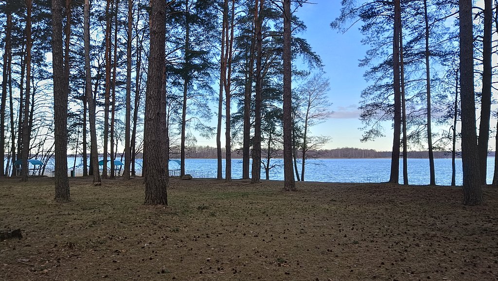 Фото из отзыва от 05.04.2025