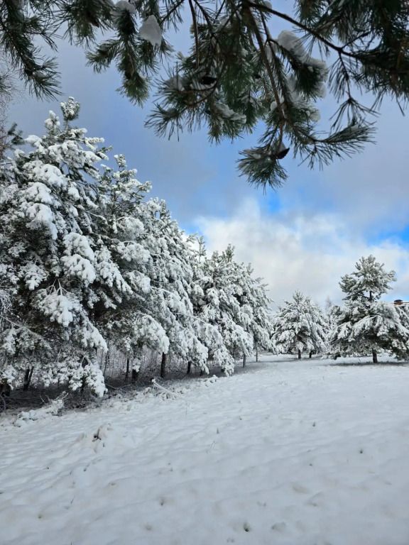 Частный дом Уница 90кв.м на первой линии озера Селигере, Тверская область: фото 5