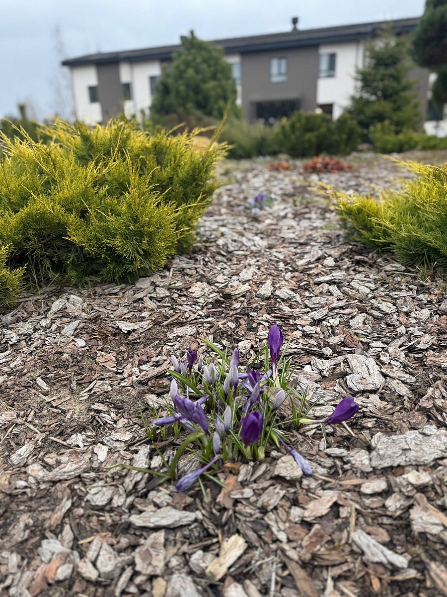 Фото 7 из отзыва о туристическом комплексе Экопарк Поляны