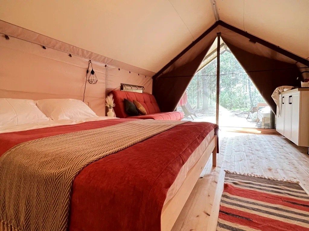 Выше гор Курай , Горный Алтай (Республика Алтай): фото 5