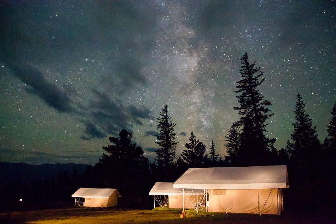 Выше гор Курай , Горный Алтай (Республика Алтай): фото 3