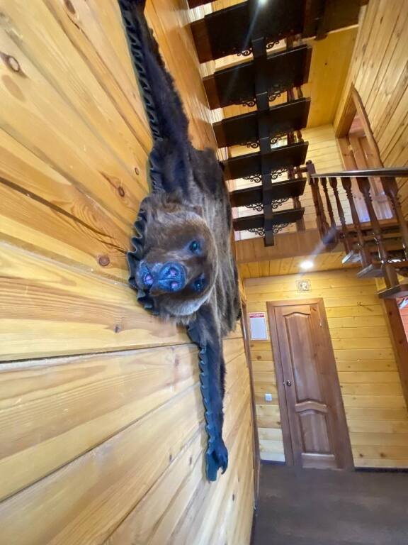 Гостевой Дом БОРок, Вологодская область: фото 4