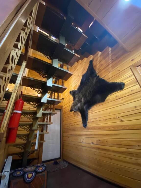 Гостевой Дом БОРок, Вологодская область: фото 5