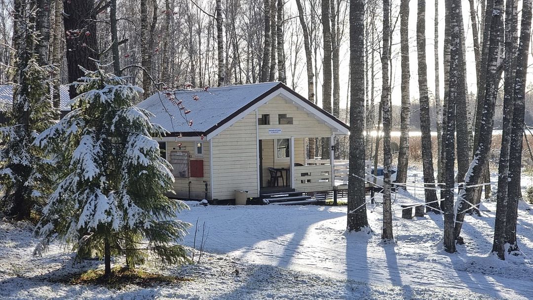 Ромашка, Ленинградская область: фото 2