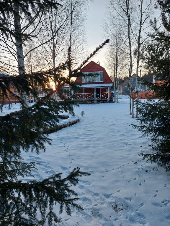 Гостевой дом Хуторок Печки-Лавочки, Вологодская область: фото 3