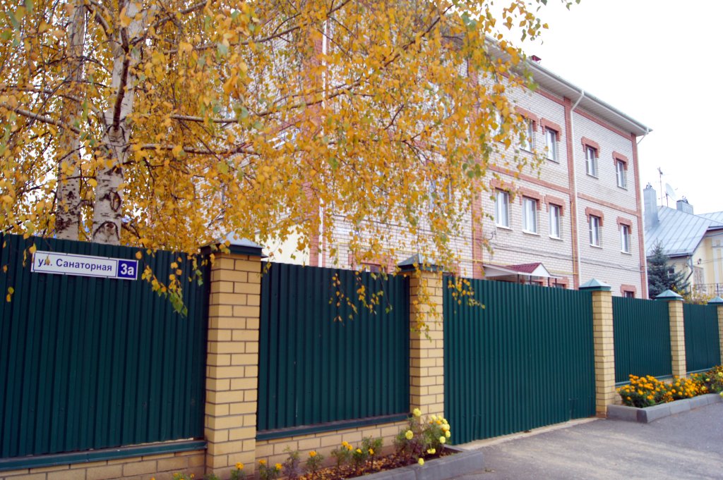 Заволжье, Костромская область: фото 3