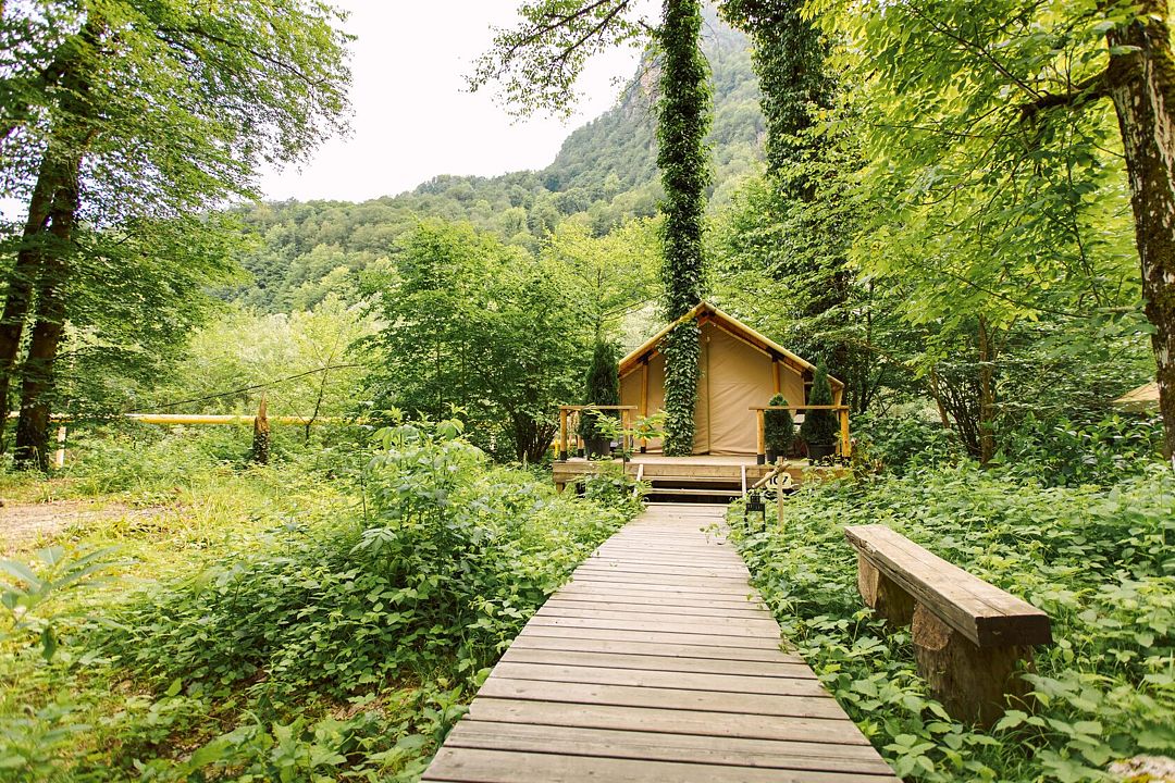 Глэмпинг и СПА Лес, Сочи, Краснодарский край