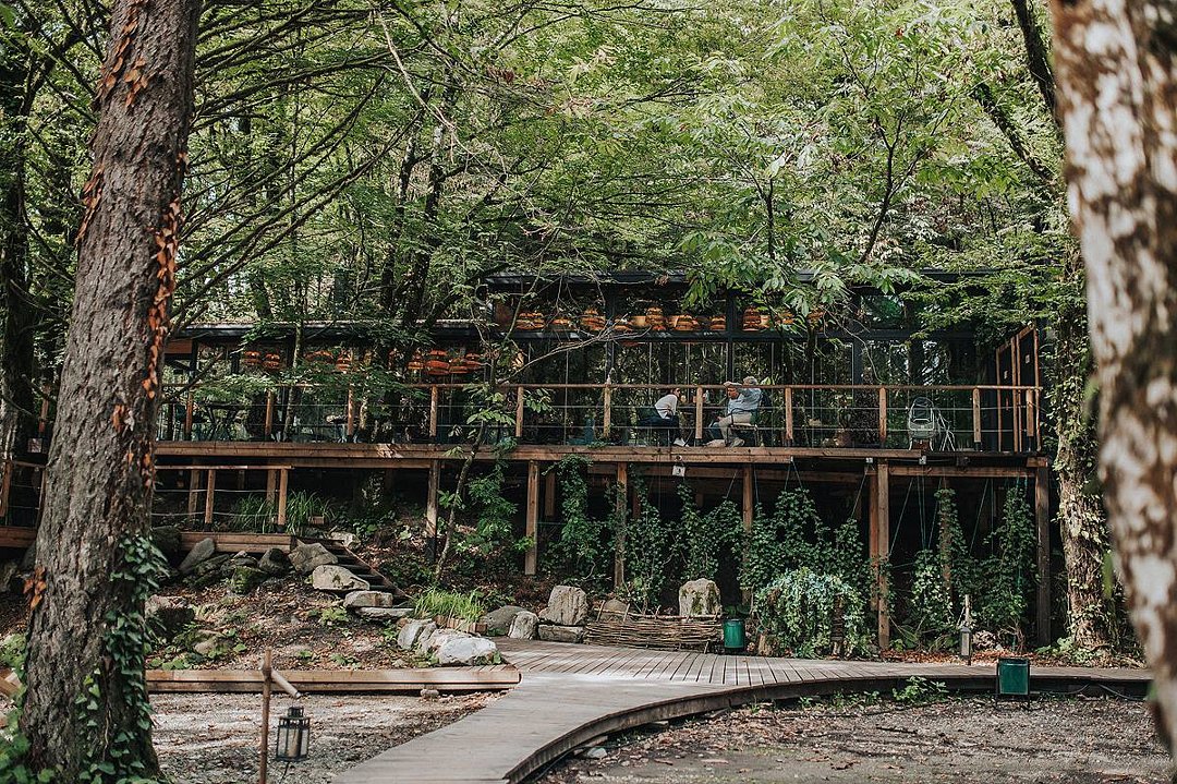 и СПА Лес, Краснодарский край: фото 3