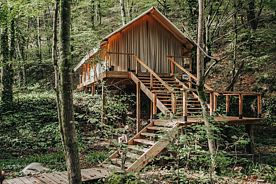 LUXE+, Глэмпинг и СПА Лес, Сочи