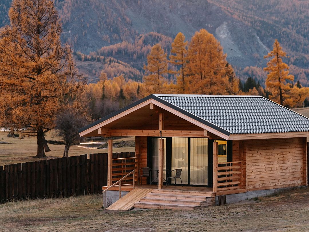 Манул, Горный Алтай (Республика Алтай): фото 4