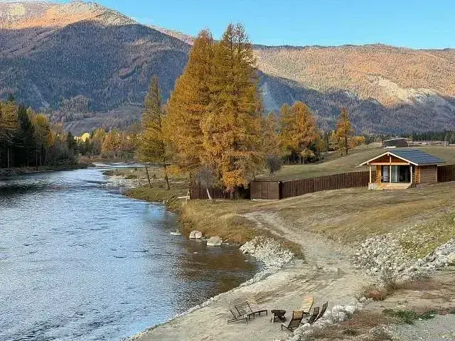 Манул, Горный Алтай (Республика Алтай): фото 2
