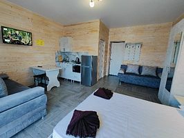 Студия с кухней, Гостевой дом Одиссей, Архипо-Осиповка