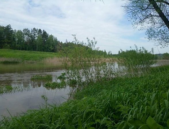 Река Нара летом