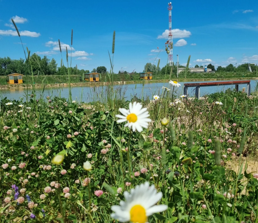 Ultralight-world, Московская область: фото 2