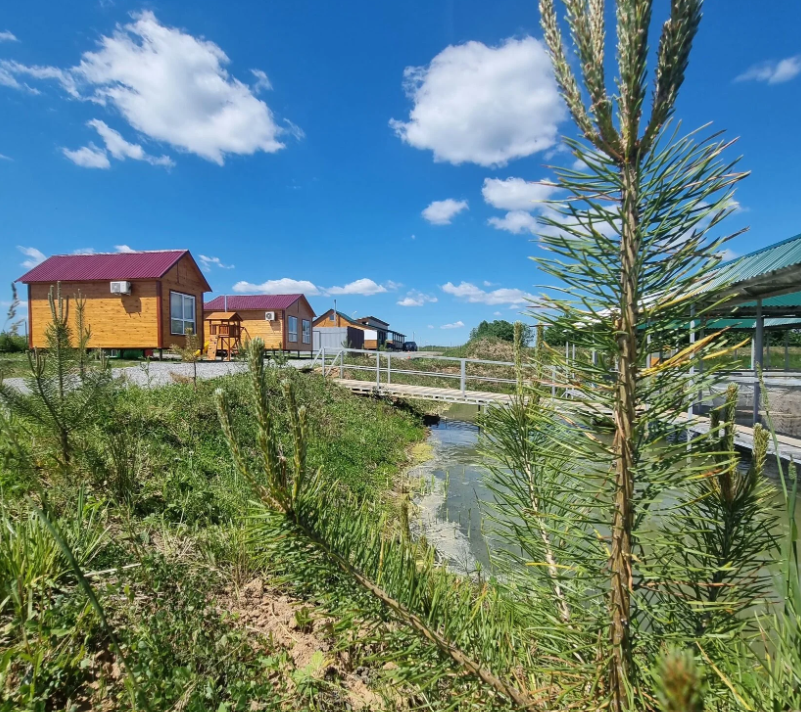 Ultralight-world, Московская область: фото 4