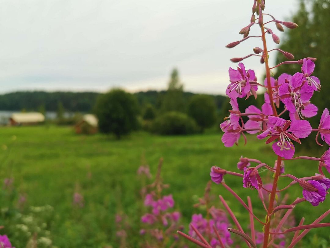 Это Жизнь, Республика Карелия: фото 2