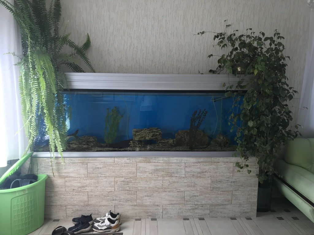 Гостевой дом Камчатдар, Камчатский край: фото 3