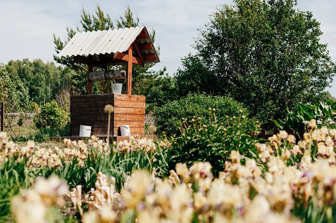Русский двор, Новосибирская область: фото 5