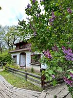 Номер 8, Дачный клуб Усадьба Репино, хутор Репино