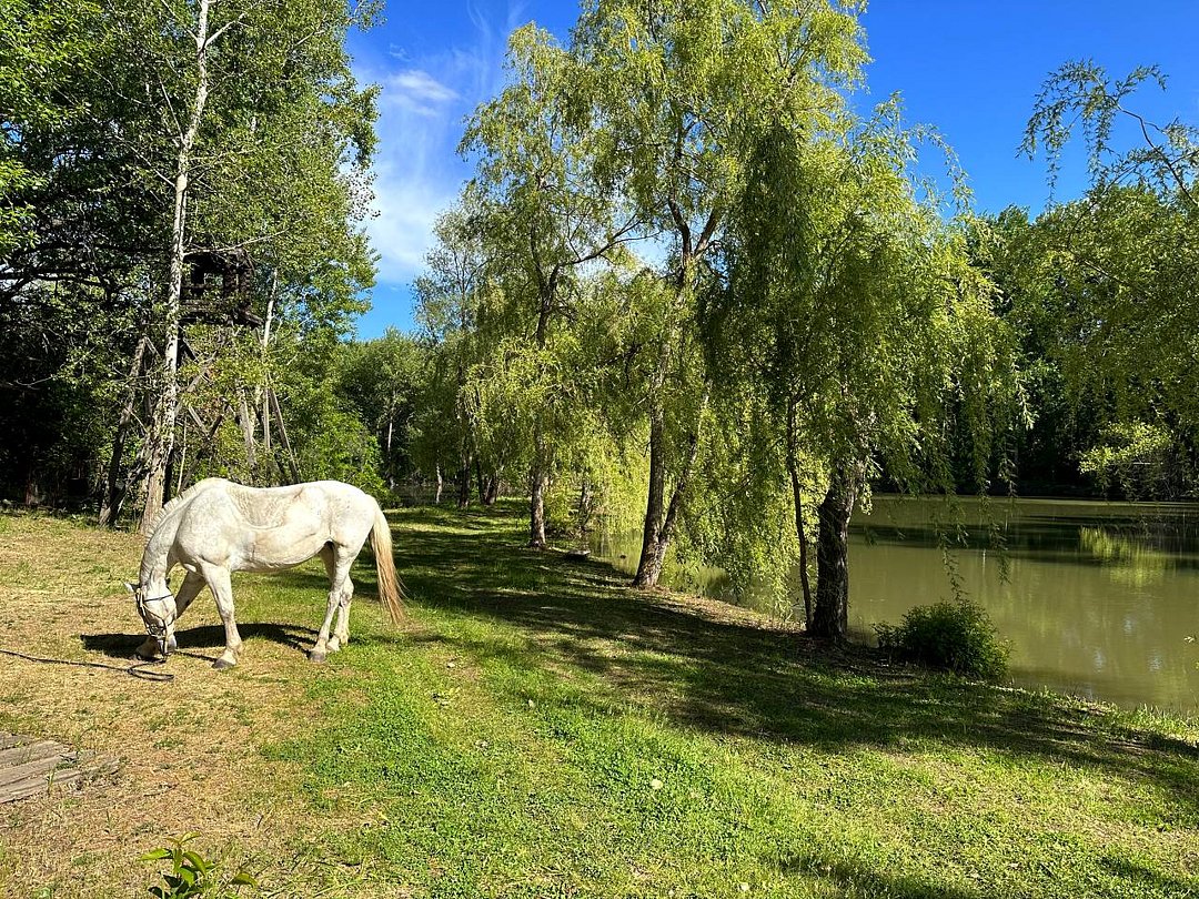Дачный клуб Усадьба Репино, Волгоградская область, хутор Репино Среднеахтубинский район