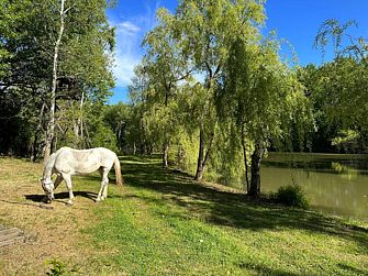 Дачный клуб Усадьба Репино