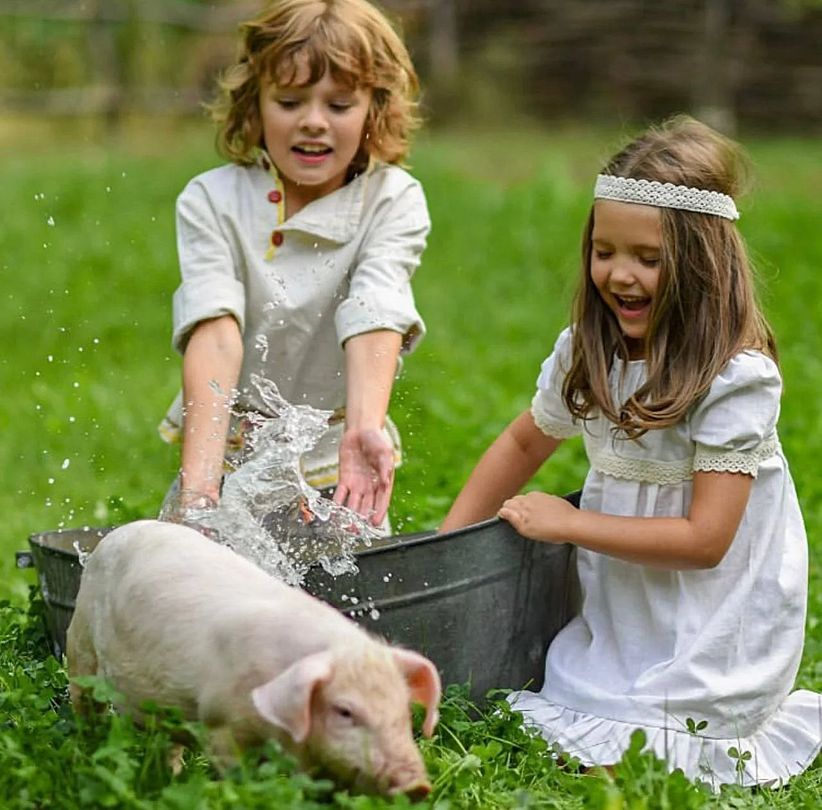 Усадьба Репино, Волгоградская область: фото 3