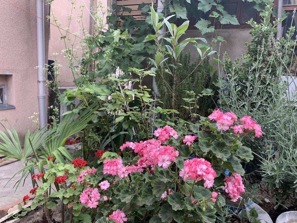 Your House in Tbilisi, Квемо Картли: фото 3