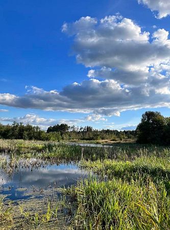 Озеро Маклок