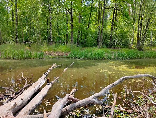 Озеро Маклок