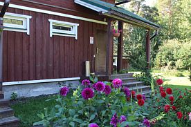 Апартамент Стандарт, База отдыха Piknikki, поселок Громово