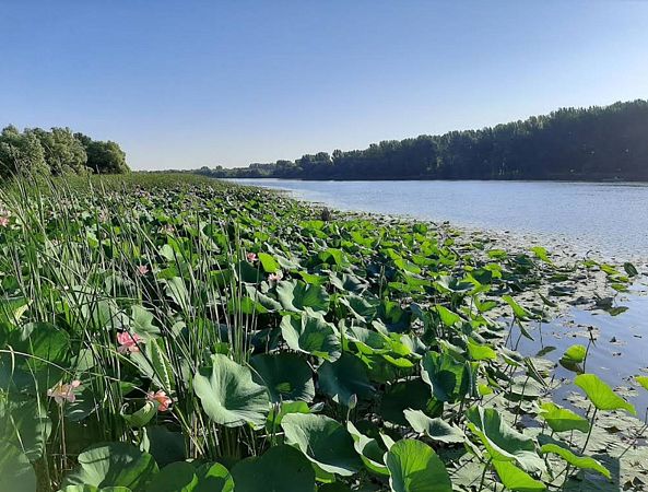 Река Гандурино 