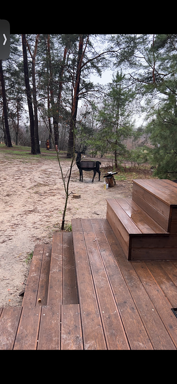 Фото из отзыва от 31.03.2025