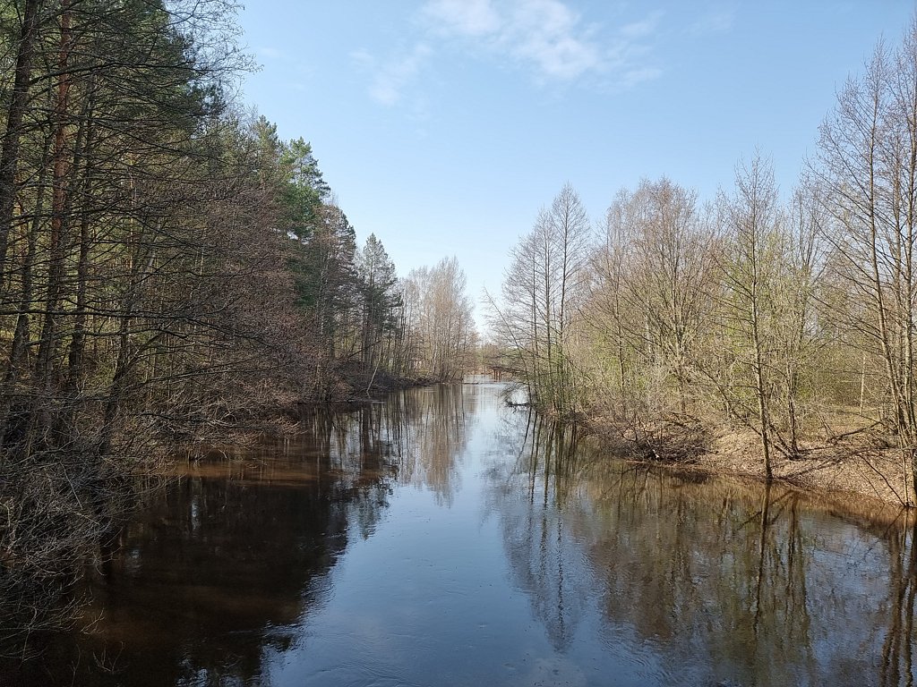 Фото из отзыва от 19.04.2025