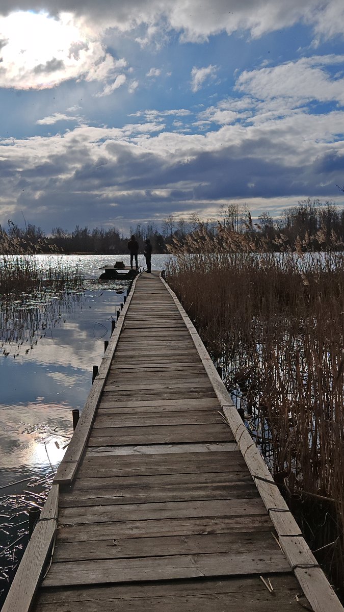 Фото 12 из отзыва о гостевом доме Озёрный берег