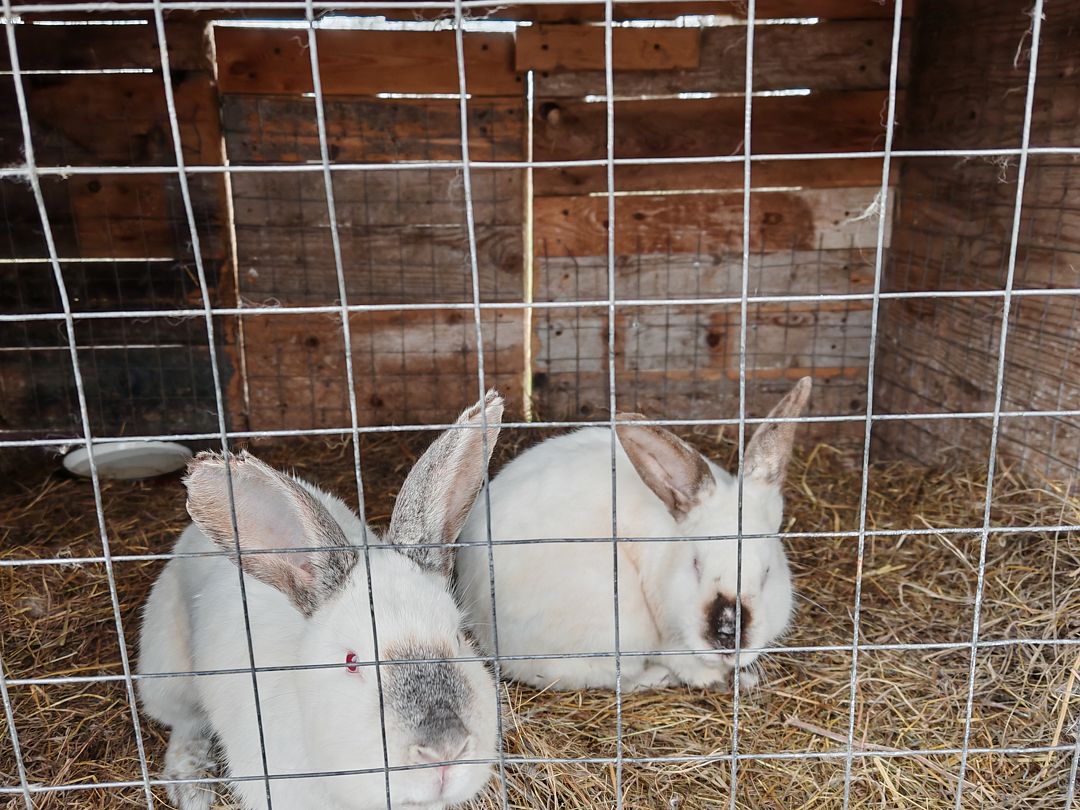 Фото 2 из отзыва о гостевом доме Озёрный берег