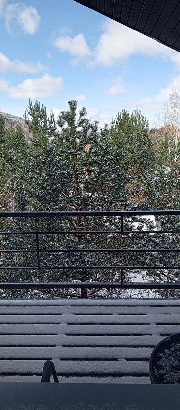 Фото 2 из отзыва о базе отдыха Финские дачи