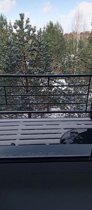 Фото 3 из отзыва о базе отдыха Финские дачи