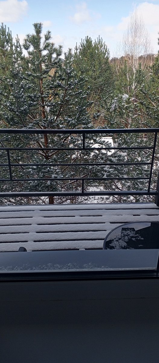 Фото 3 из отзыва о базе отдыха Финские дачи