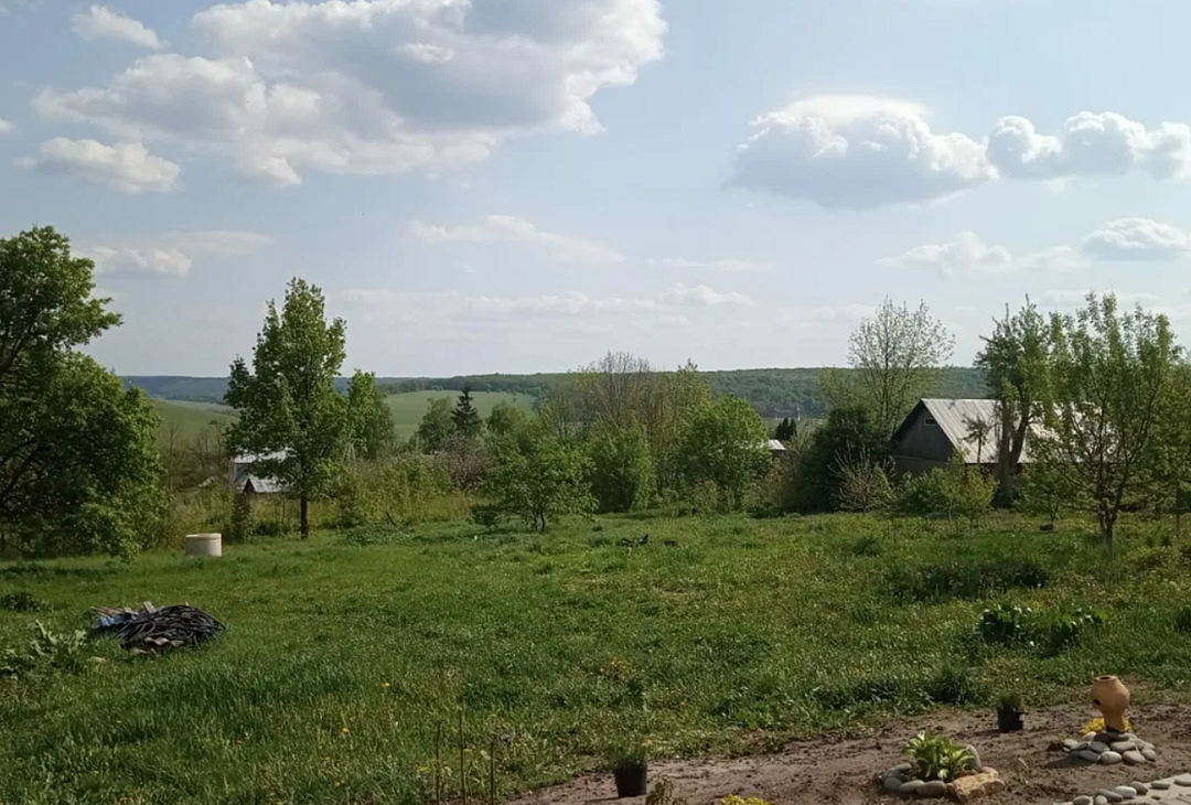 Дом Хвостова, Липецкая область: фото 3