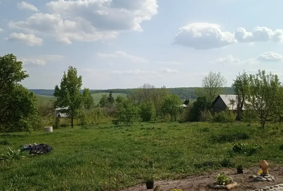 Дом Хвостова, Липецкая область: фото 3