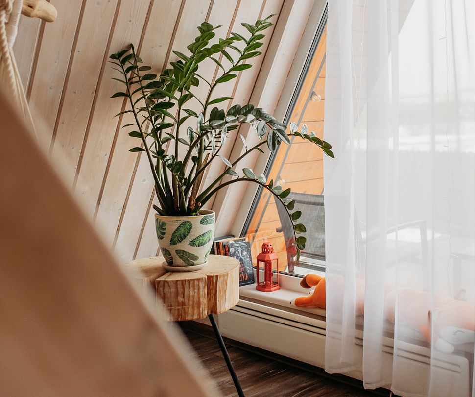 Лиса в шалаше, Ленинградская область: фото 3