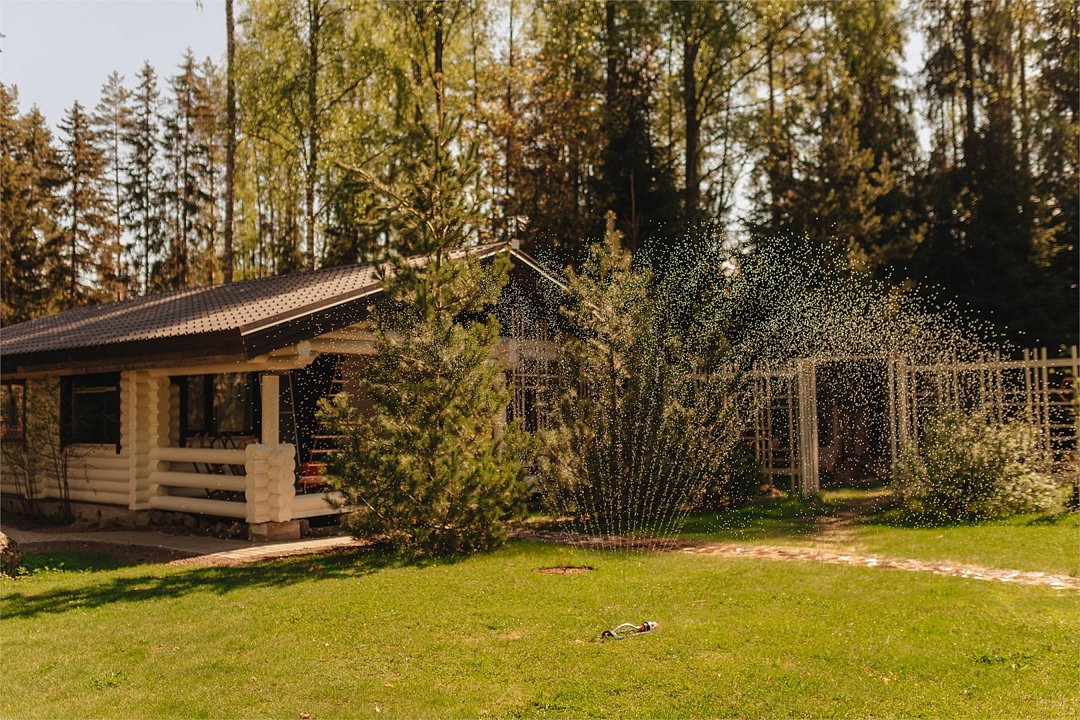 Волшебный Лес, Ленинградская область: фото 3