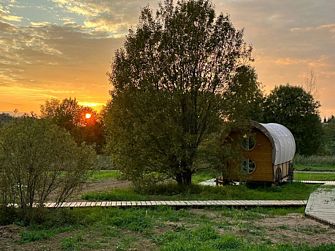 Глэмпинг Кинодеревня