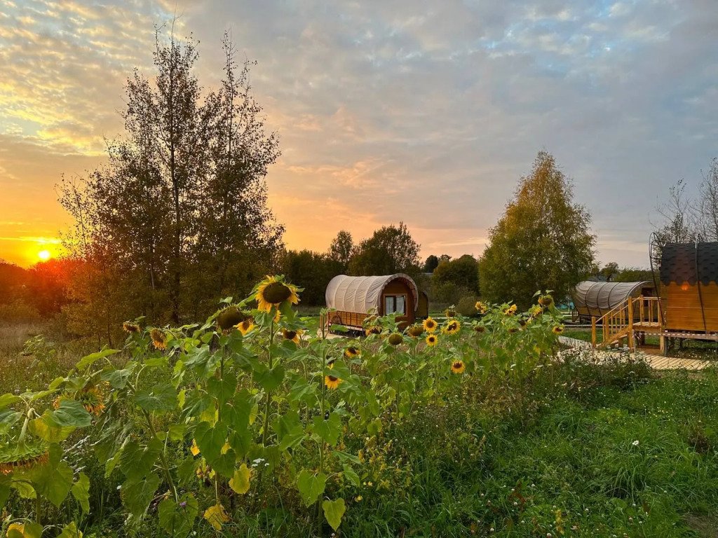 Глэмпинг Кинодеревня, Ярославская область: фото 2